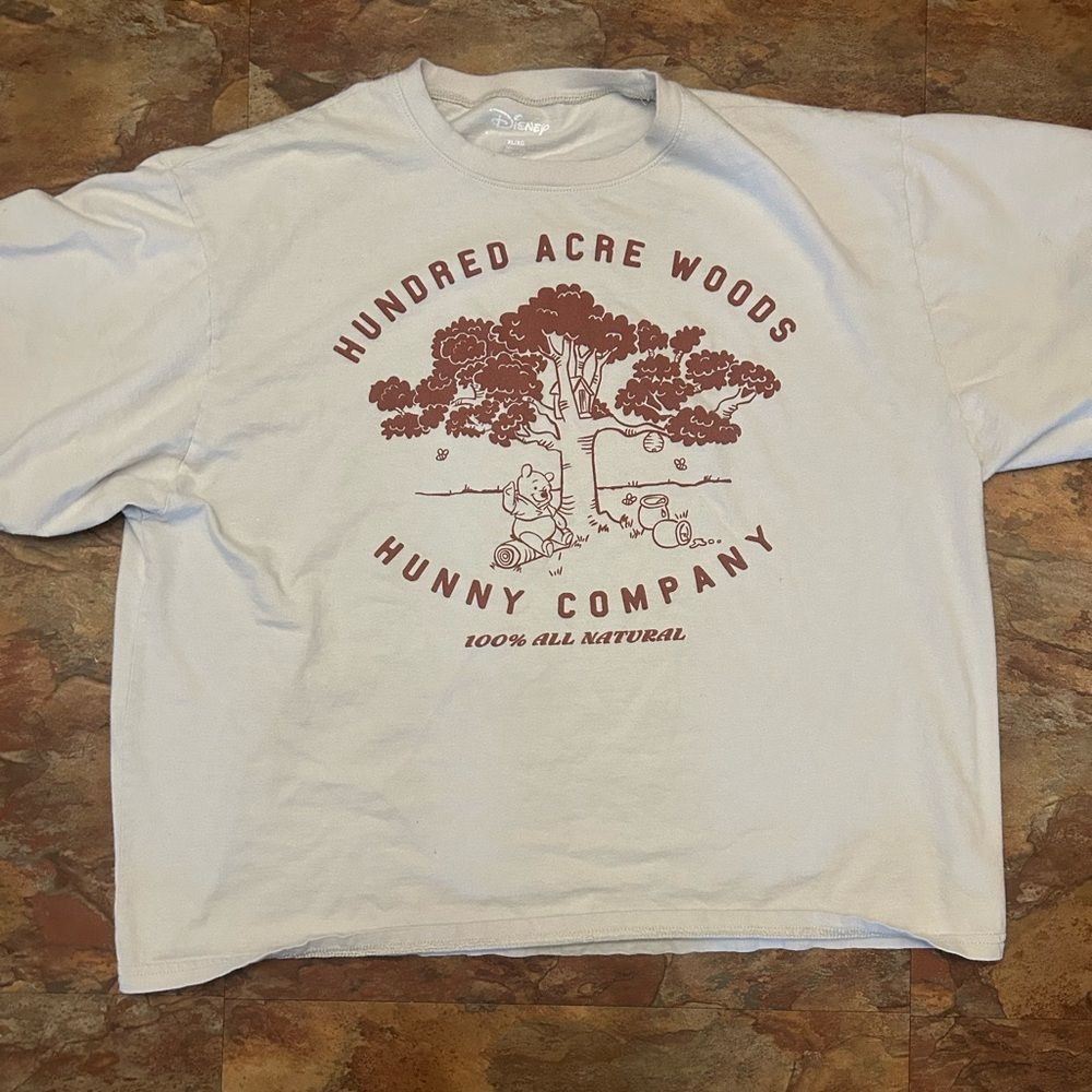 Disney Winnie the Pooh Hundred Acre Woods T-Shirt XL Cream Hunny Company
